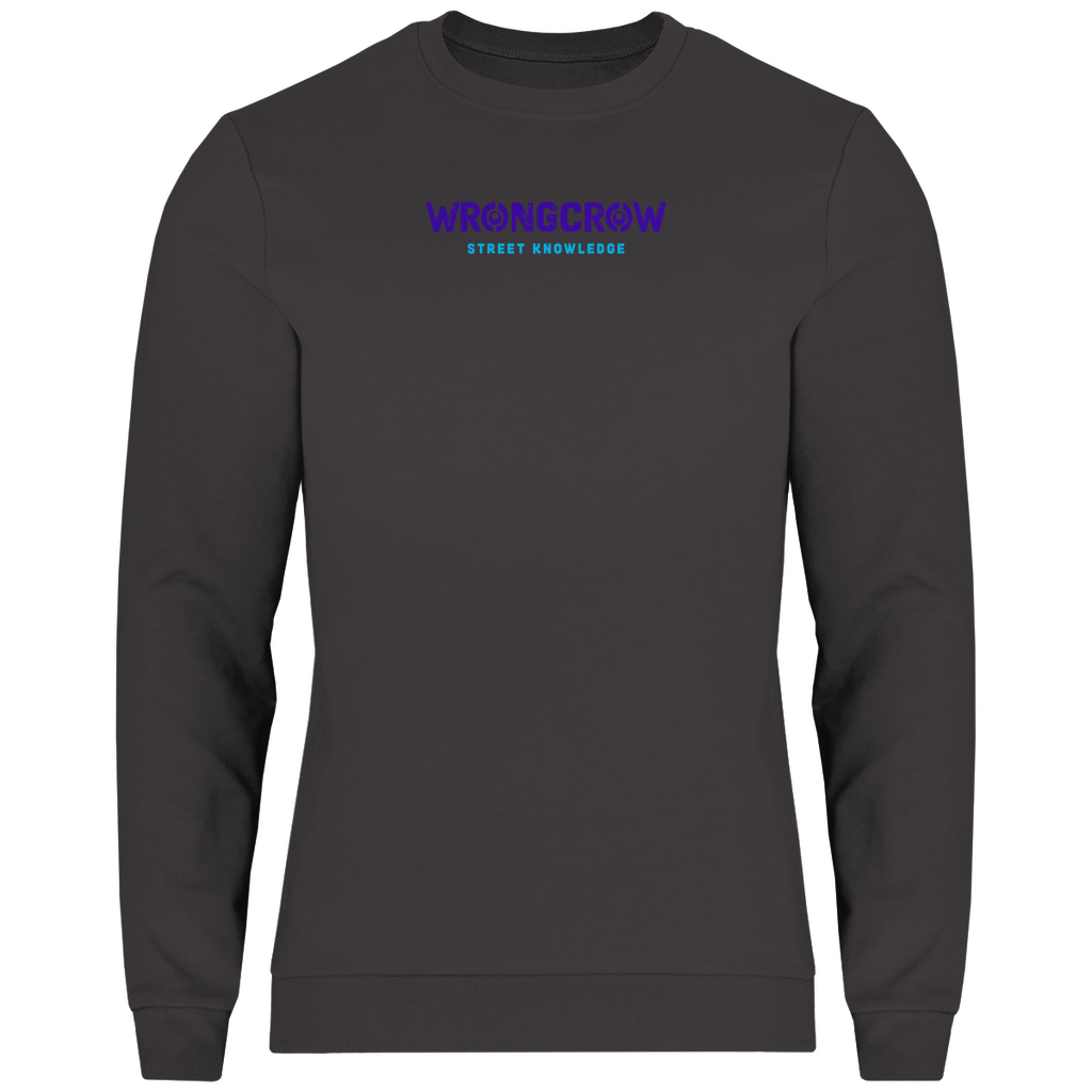 Sweatshirt Wrongcrow - Asphalt / XS - Clothes
